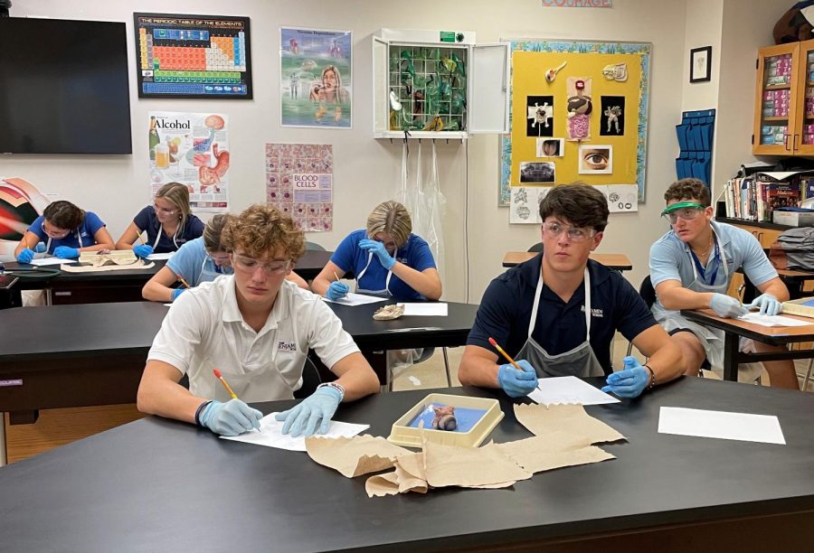 Brett+Salach+and+Peter+Cenci+share+a+table+during+an+intense+Human+Systems+Biology+lecture+led+by+Mrs.+Amanda+Pierman.+Also+at+the+desk+is+the+dissected+eyeball+of+a+cow%2C+one+of+several+specimens+students+encounter+during+the+course.