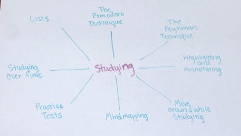 How-To Optimize Studying