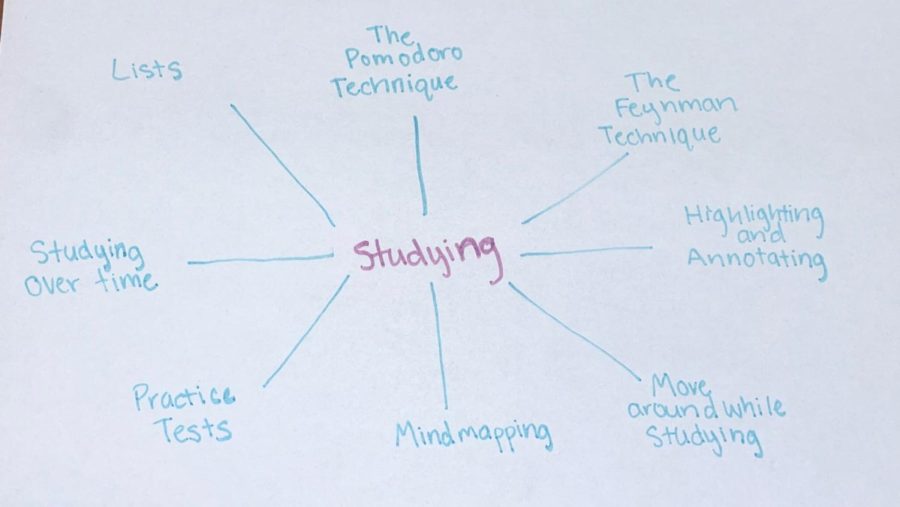 This mindmap is a graphic which lays out the ways to study that are included in the article.